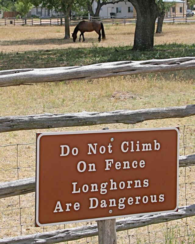 At the LBJ ranch...some animals are less dangerous than advertised