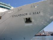 The Splendour of the Seas