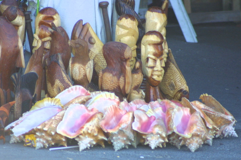 Shells in the Straw Market