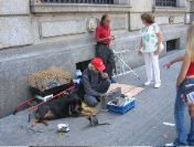 Man on street selling kittens