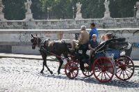 Horse-drawn cart tour