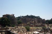 The Roman Forum (by Debbie)