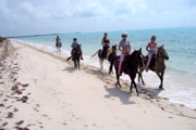 The family riding horses on the beach